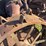 massey-harris-gp-image-20