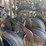 great-plains-solid-stand-grain-drill-image-12