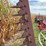 sickle-mower-image-18