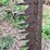 john-deere-350-sickle-mower-image-10