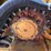 2021-caterpillar-299d3-image-34