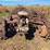 massey-harris-gp-image-8