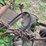 sickle-mower-image-6