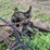 sickle-mower-image-21