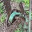 john-deere-350-sickle-mower-image-9
