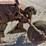 oliver-tnt-two-bottom-plow---rare!!!-image-11