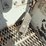 2009-international-workstar-7400-image-8