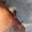 wayne-visible-pump-image-9