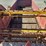 lazarus-manure-spreader-image-13