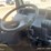 2006-isuzu-nqr-image-27