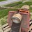 cushman-scooter-image-18