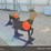 zjz-shooting-target-image-3