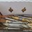 box-of-double-ended-cutters-image-6