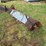 #36-•-quick-connect-auger-fed-9’-6”-bucket-image-2