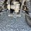 2014-yamaha-grizzly-450-image-6