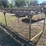 #68-•-miscellaneous-ladders-&-metal-rack-image-5