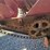 lazarus-manure-spreader-image-12
