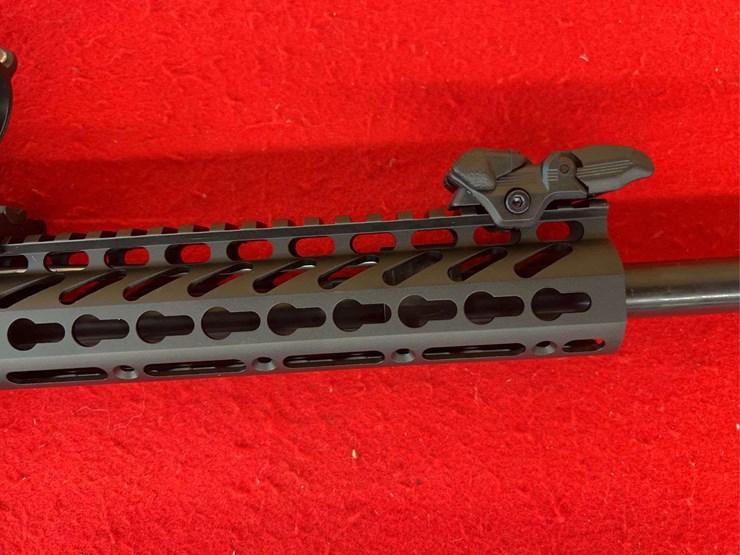 palmetto-letsgo-15-ar-15-.223-semiauto-rifle-image-9