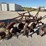 oliver-tnt-two-bottom-plow---rare!!!-image-1