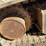 2021-kato-hd35-n4-image-21