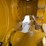2007-caterpillar-d8t-image-28