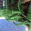 #1043-•-john-deere-4440-tractor-image-67