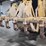 2005-caterpillar-140h-image-13