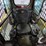 2015-caterpillar-257d-image-13