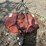 bush-hog-rz60-image-5