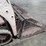 2013-bobcat-t110-image-11