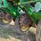 #1948-•-john-deere-7200-16-row-planter-image-16