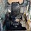 #1873-•-1998-takeuchi-tl26-2-tracked-skid-steer-image-30