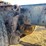 #6903-•-1995-volvo-gm-wg64t-tandem-axle-day-cab-semi-tractor-(has-wi-title)-image-35