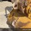 2017-caterpillar-323-image-6