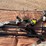 #5217-•-(3)-compound-bows-with-arrows-and-accessories-image-5