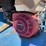 #1022-•-bluebird-power-rake-image-6