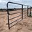 #3793-•-16'-iron-gate-image-3