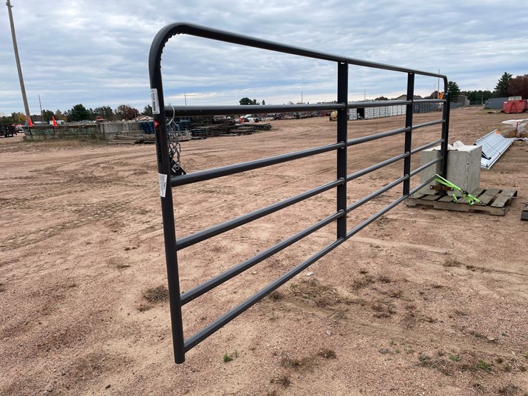 #3793-•-16'-iron-gate-image-3