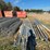 #3783-•-chain-link-fence-with-posts-image-1