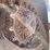 #1863-•-2017-bobcat-t450-tracked-skid-steer-image-24