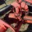 #1951-•-allis-chalmers-b-wide-tractor-image-43