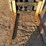 #1881-•-yale-40mx-glp040mx-lp-forklift---low-hours!-image-10