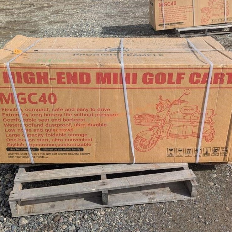 2026 SD Lanch Electric Cart