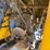 #1871-•-2007-new-holland-w130za-wheel-loader-image-28