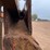 #3729-•-16'-salter-and-sand-box-with-conveyor-bottom-image-43