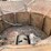 #1925-•-2003-vermeer-tg525-tub-grinder-(has-wi-title-in-delay)-image-51