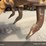 2018-caterpillar-d6t-xl-image-17