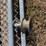 #3781-•-(2)-17-1/2'-gates-image-5