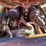 #1086-•-2016-gehl-v400-skid-steer-with-bucket-image-21