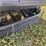 #3223-•-2026-cfg-mx20r-mini-excavator-image-7